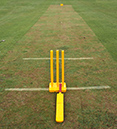 Rotary_Cricket_Match_2010_0025